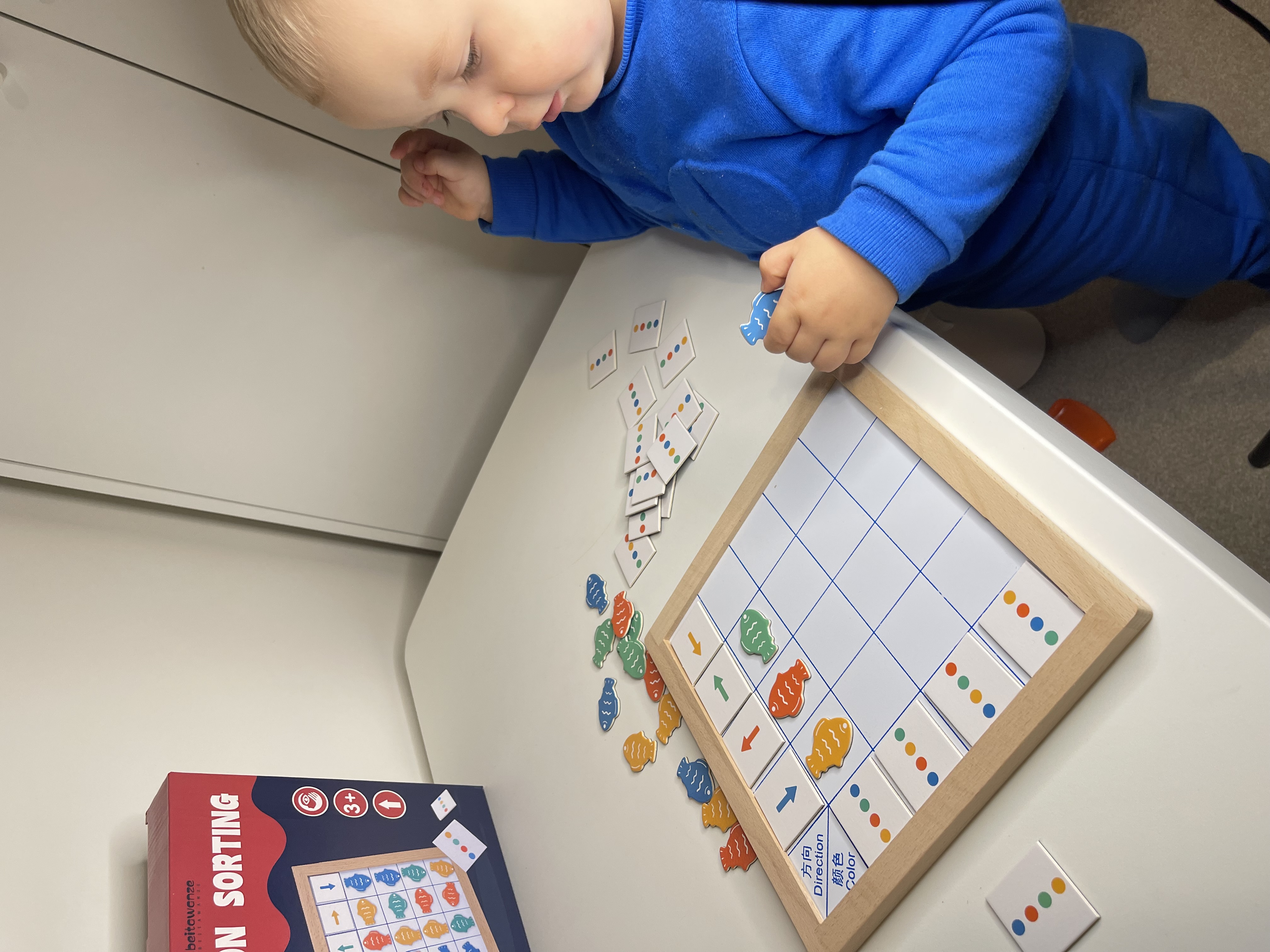 Fish Color and Direction Logic Puzzle Board Game