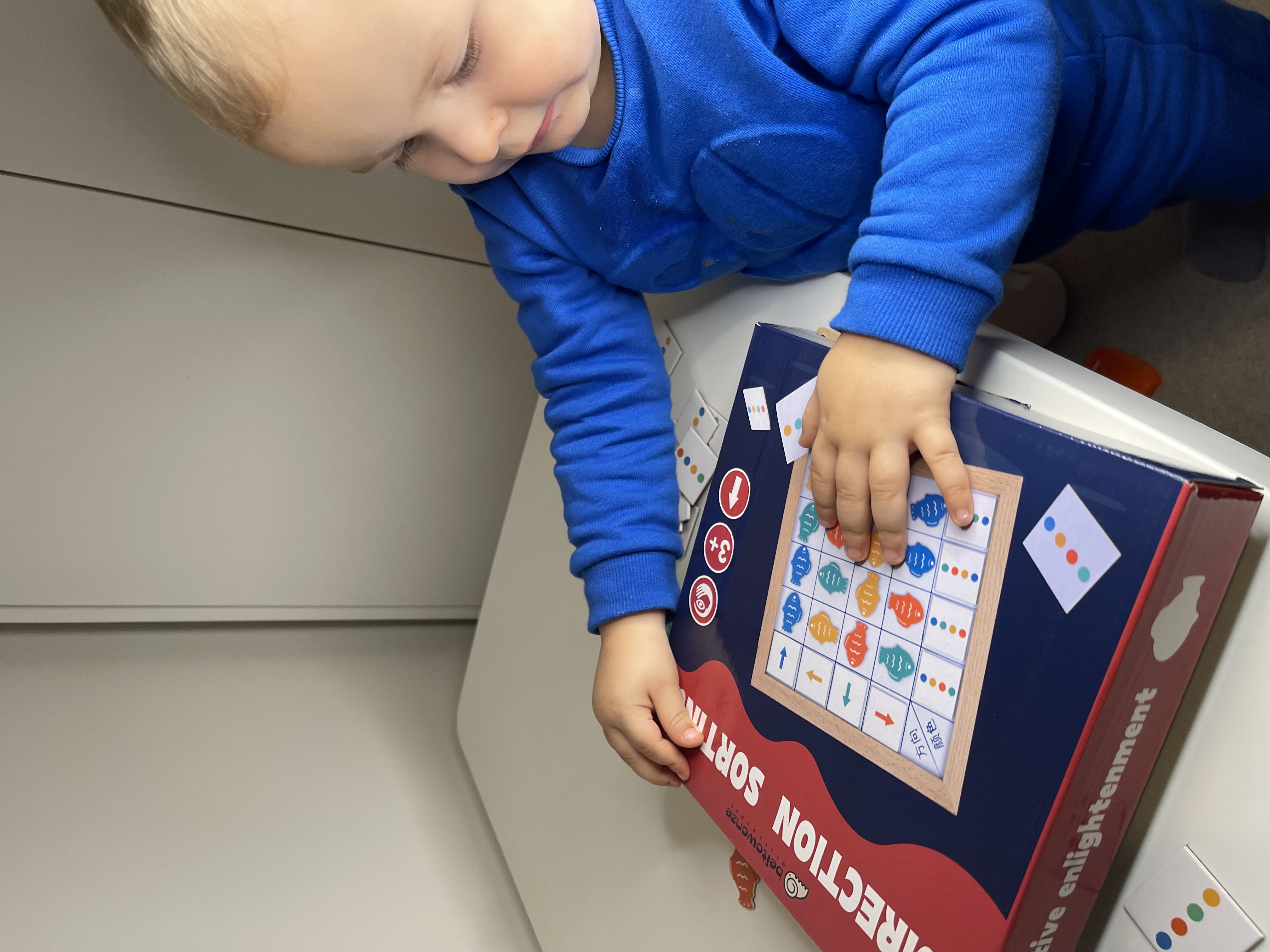 Fish Color and Direction Logic Puzzle Board Game