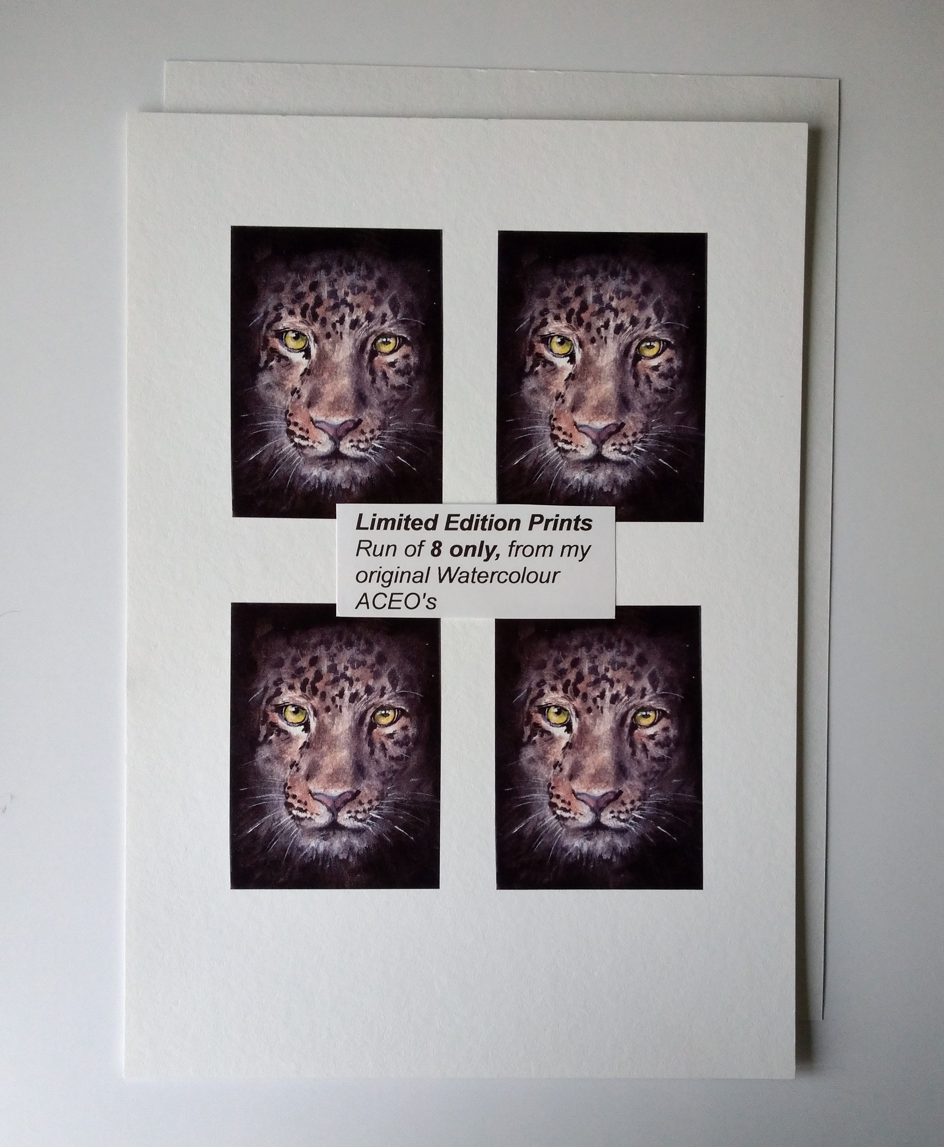 Limited Edition Print from my Original ACEO Watercolour of a Jaguar