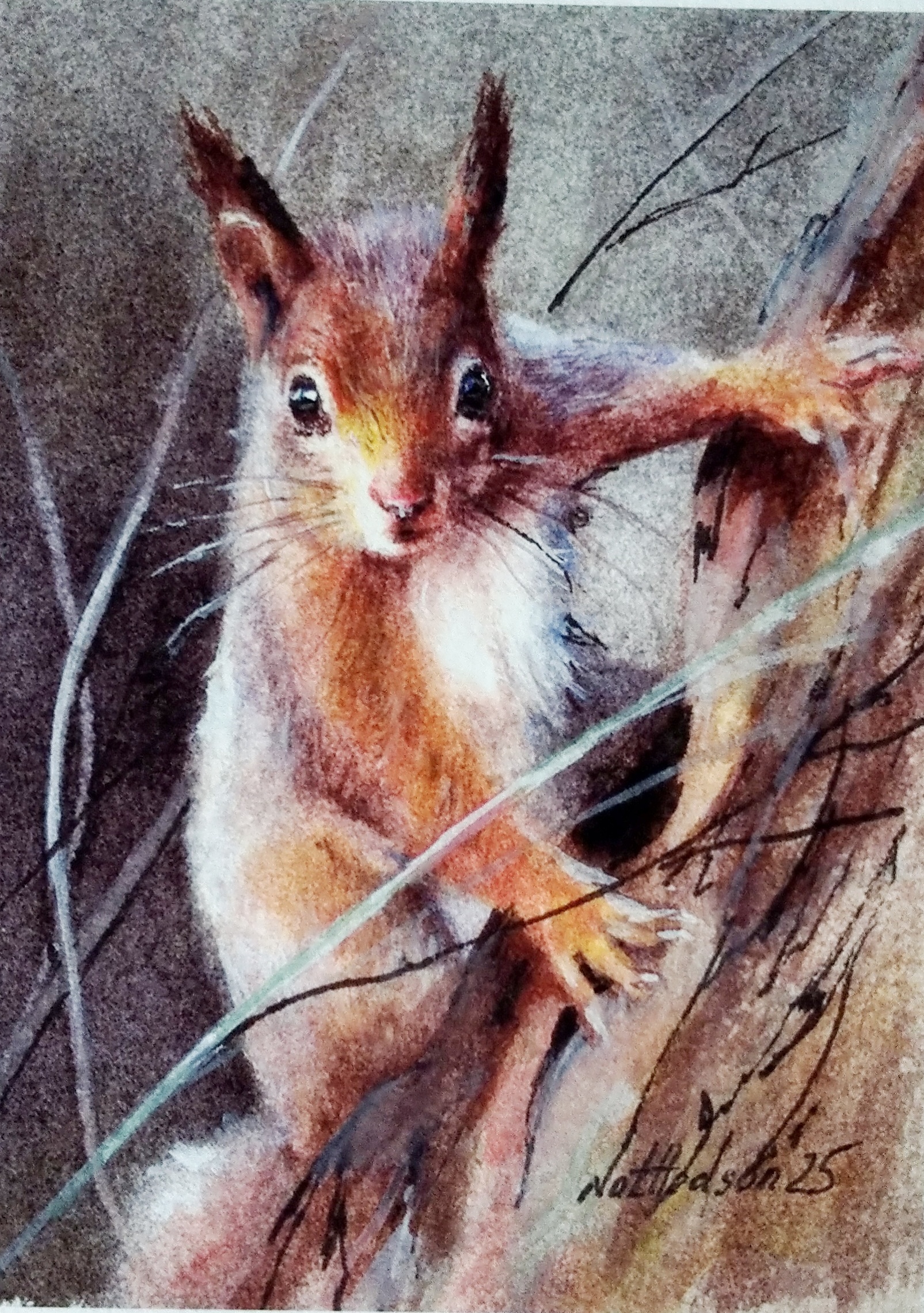 Print of a squirrel from my original Miniature Watercolour Painting, Limited Edition