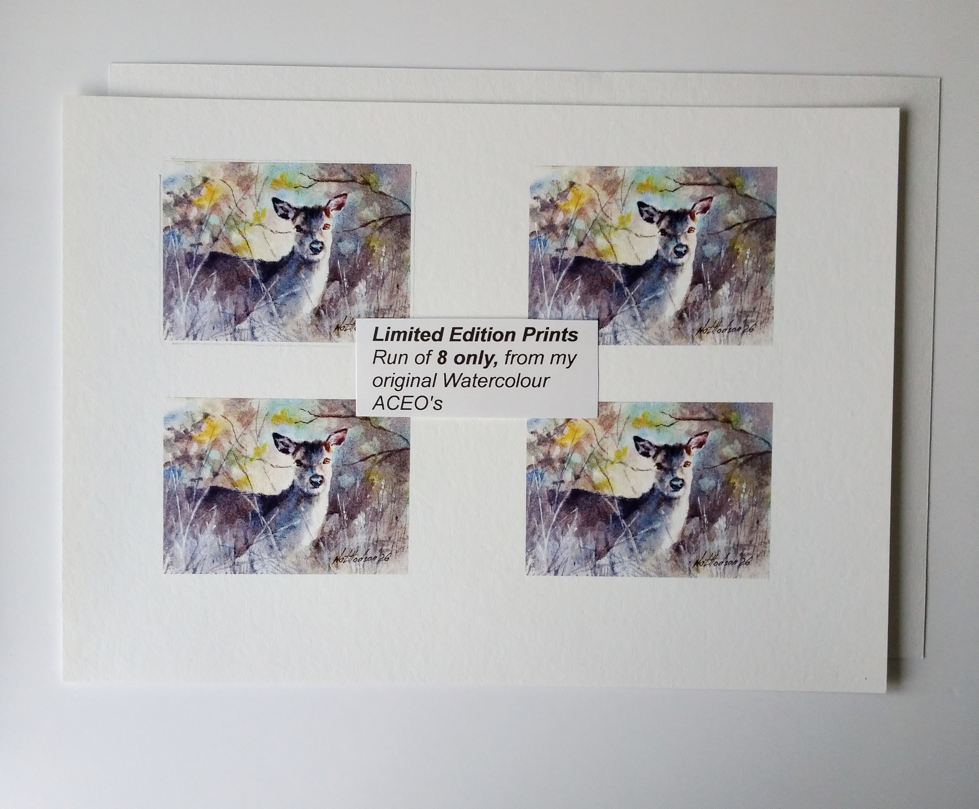Limiter Edition Print of Deer in the Woods from my Original ACEO Watercolour Painting