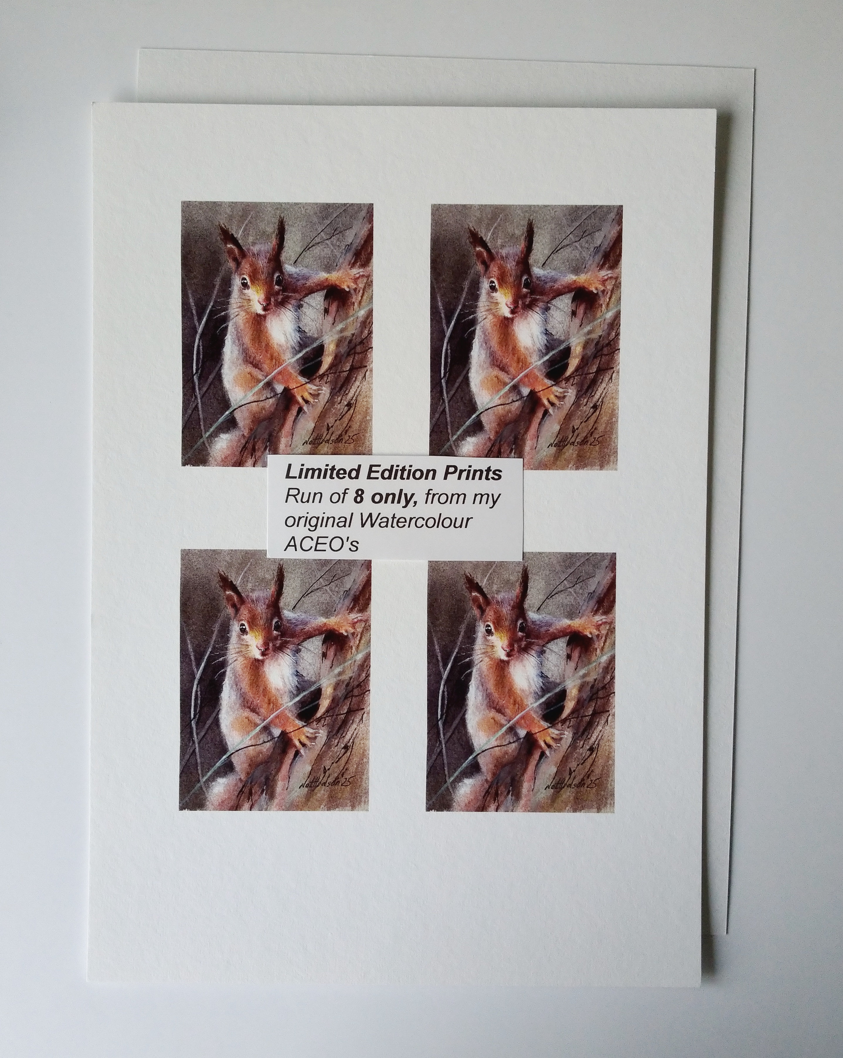 Print of a squirrel from my original Miniature Watercolour Painting, Limited Edition