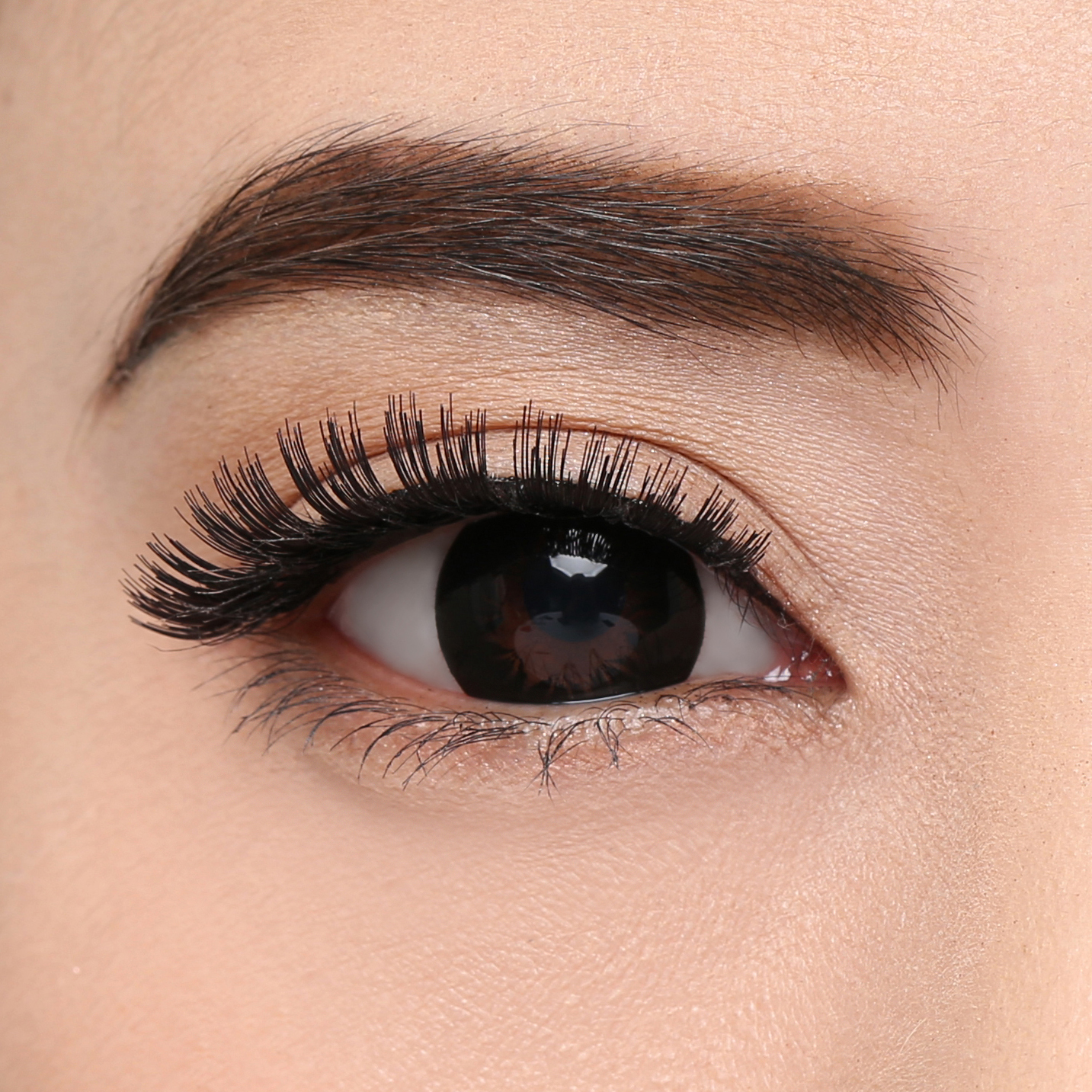 Elise Eyelashes Classic 826