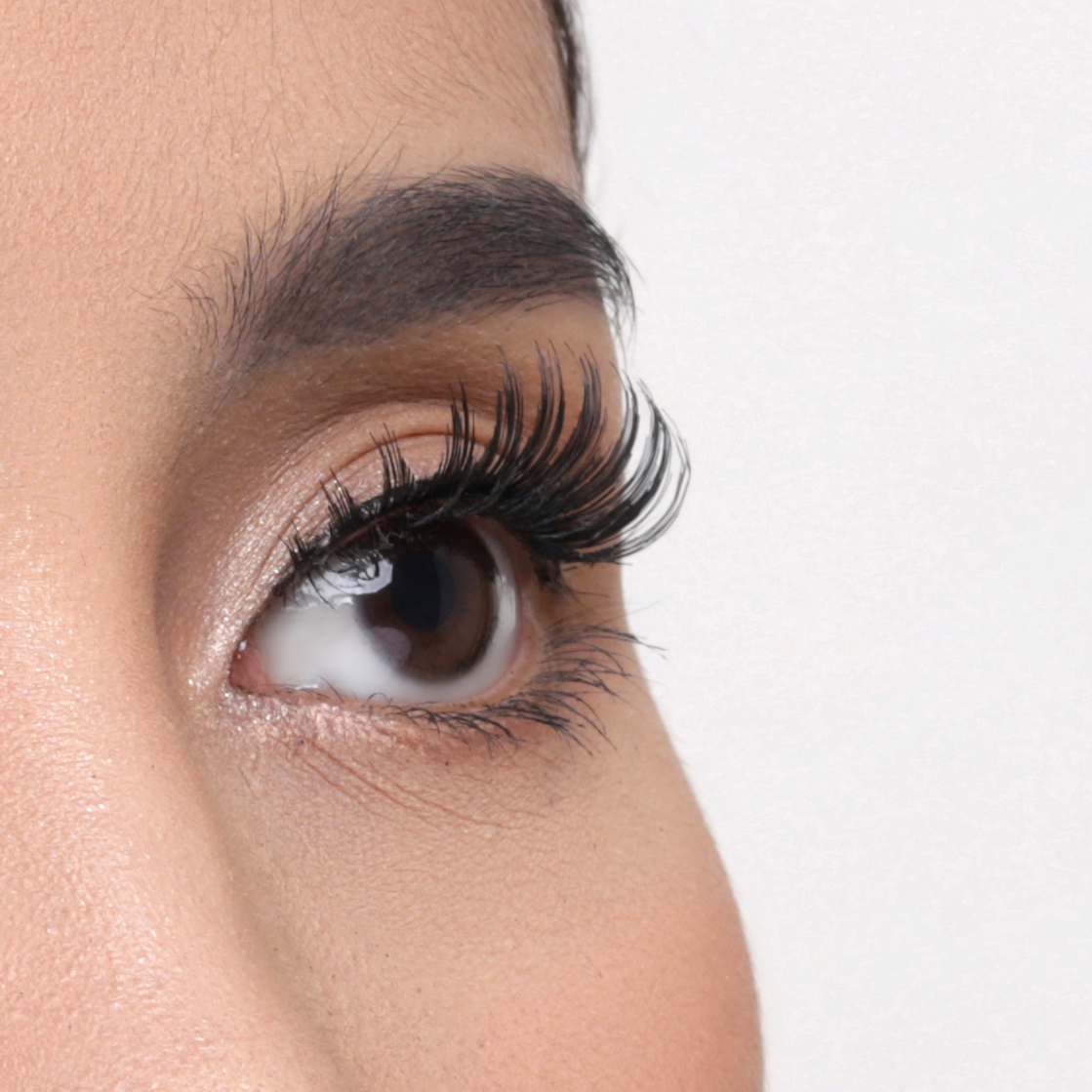 Elise Eyelashes Classic 818