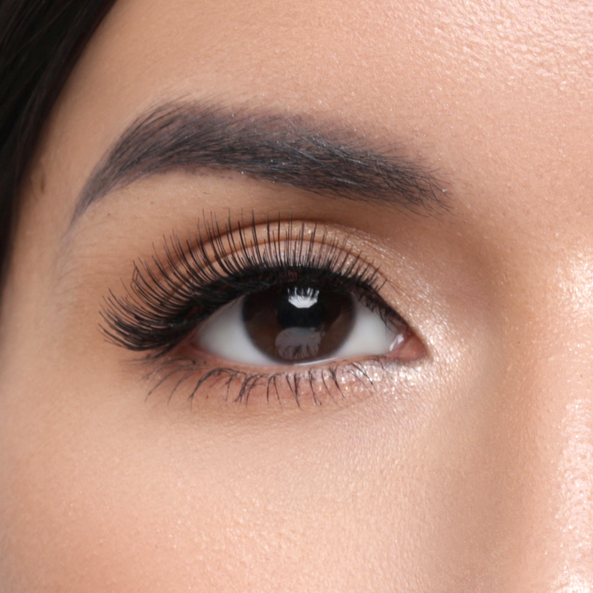 Elise Eyelashes Glamour 119
