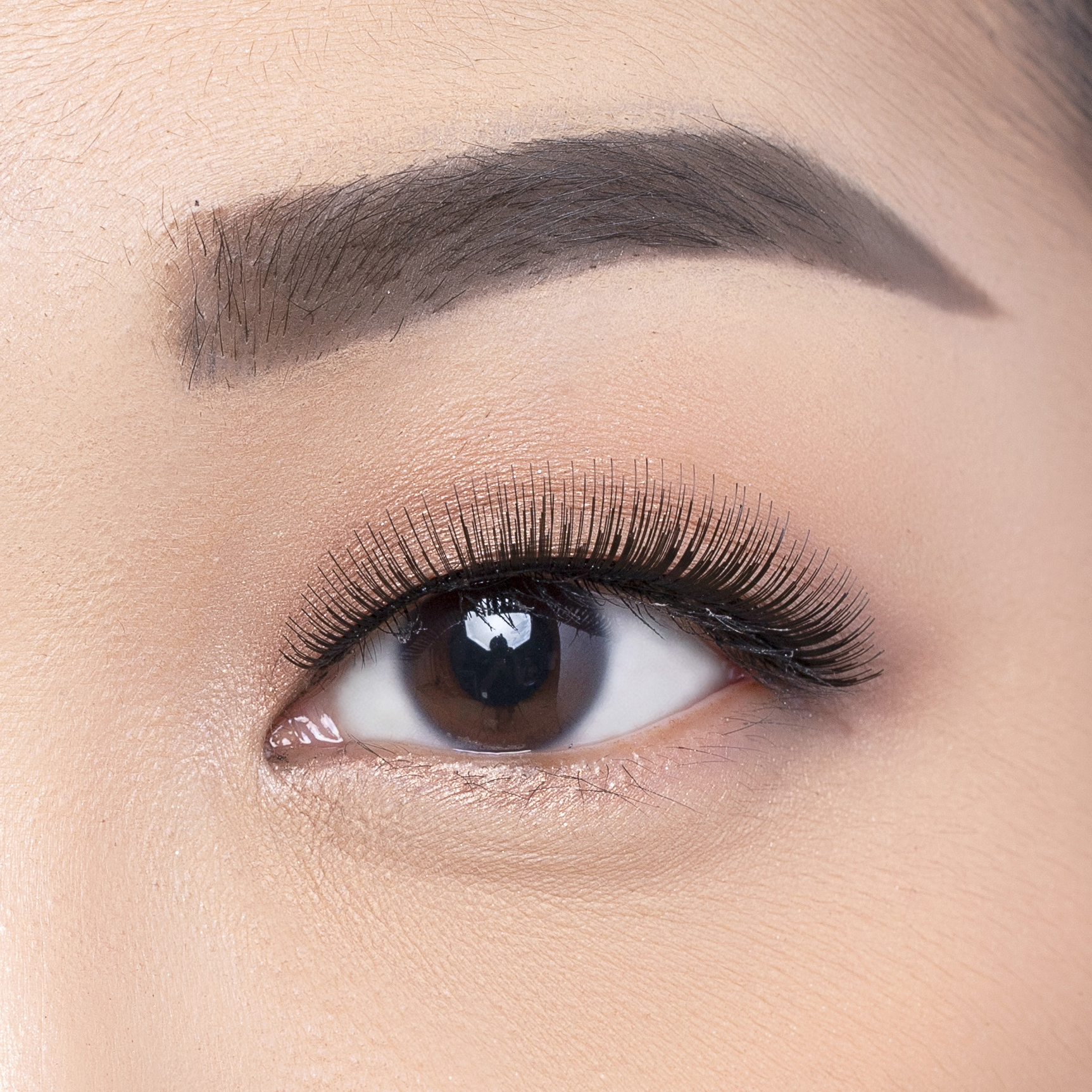 Elise Eyelashes Classic 7151