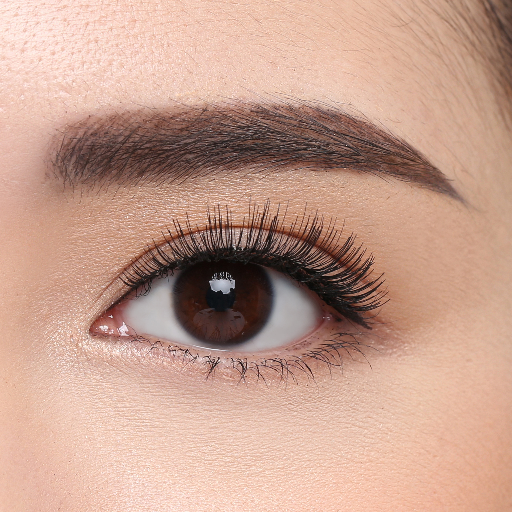 Elise Eyelashes Glamour 105