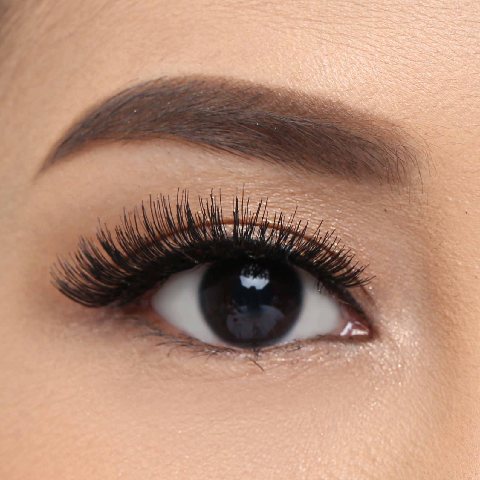 Elise Eyelashes Glamour 121