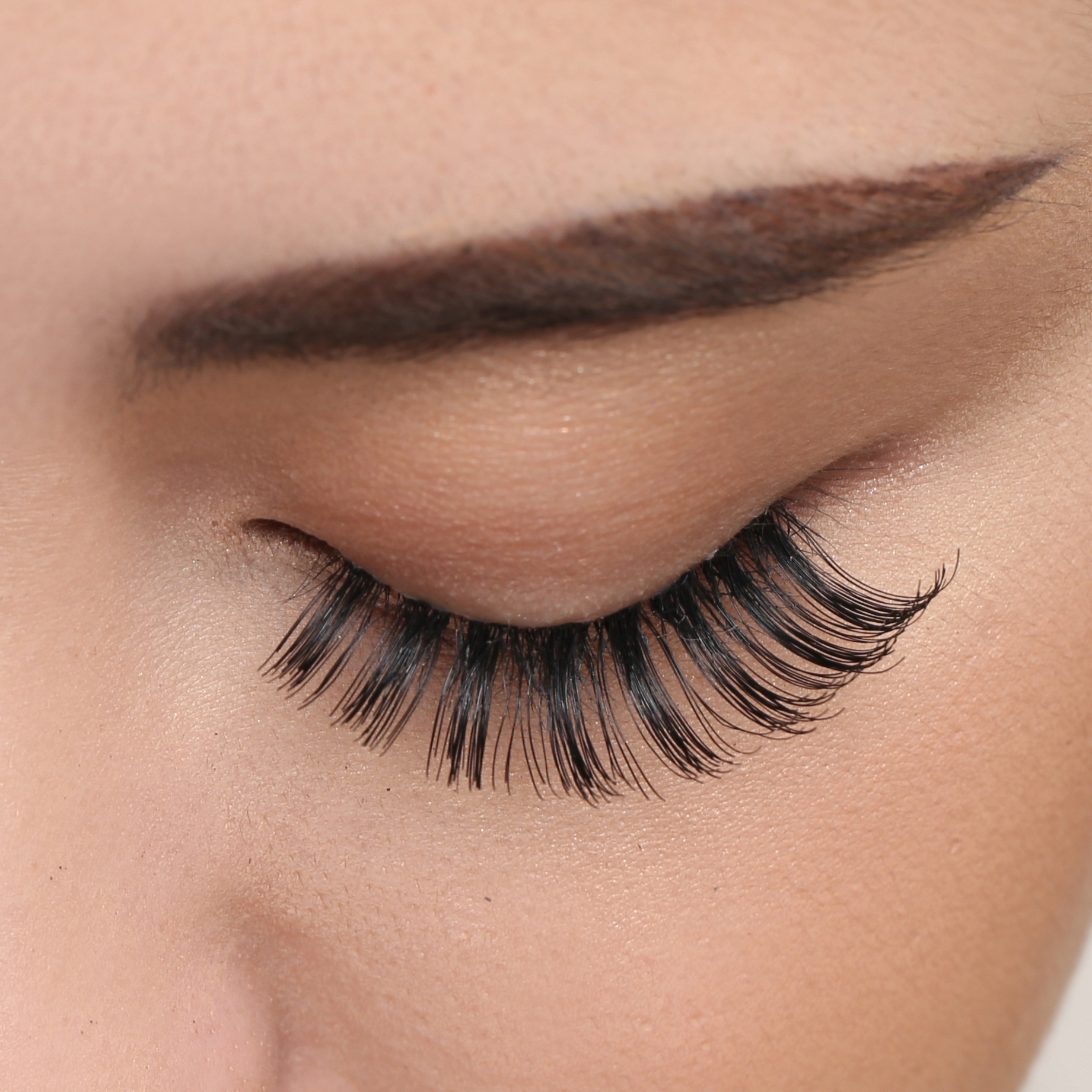 Elise Eyelashes Classic 821