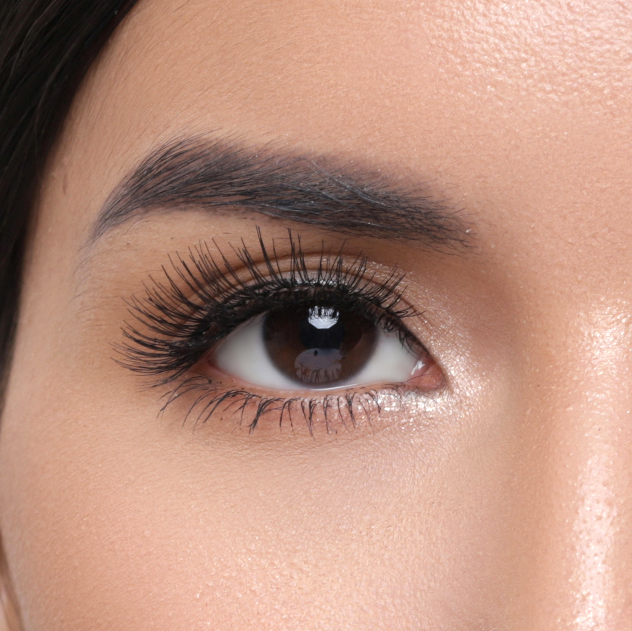 Elise Eyelashes Glamour 106