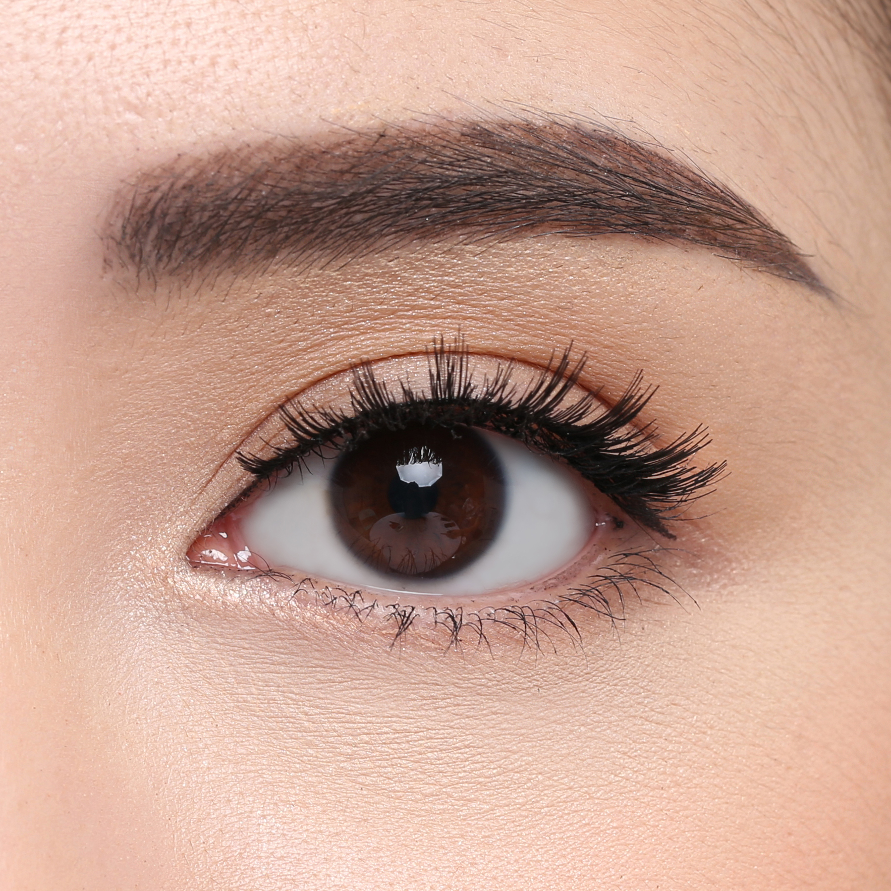 Elise Eyelashes Glamour 112