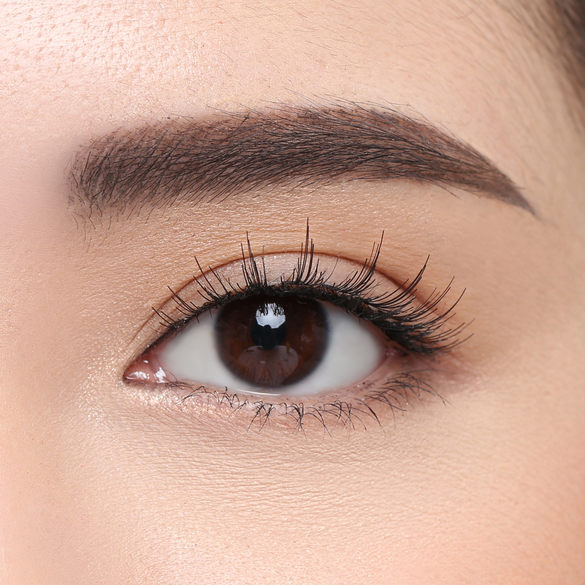 Elise Eyelashes Glamour 103