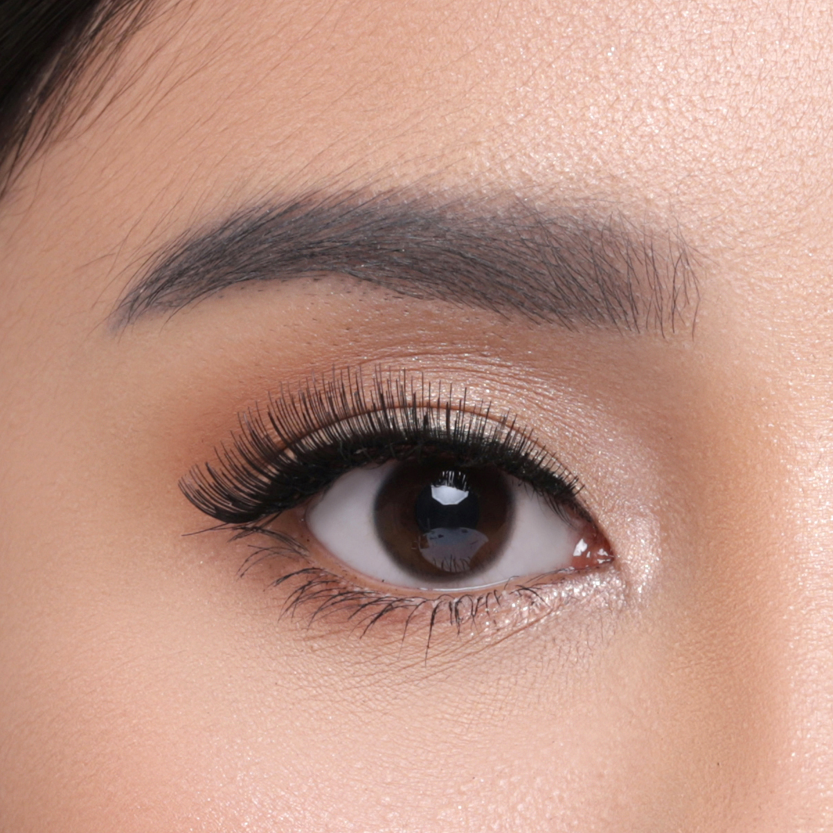 Elise Eyelashes Classic 4536