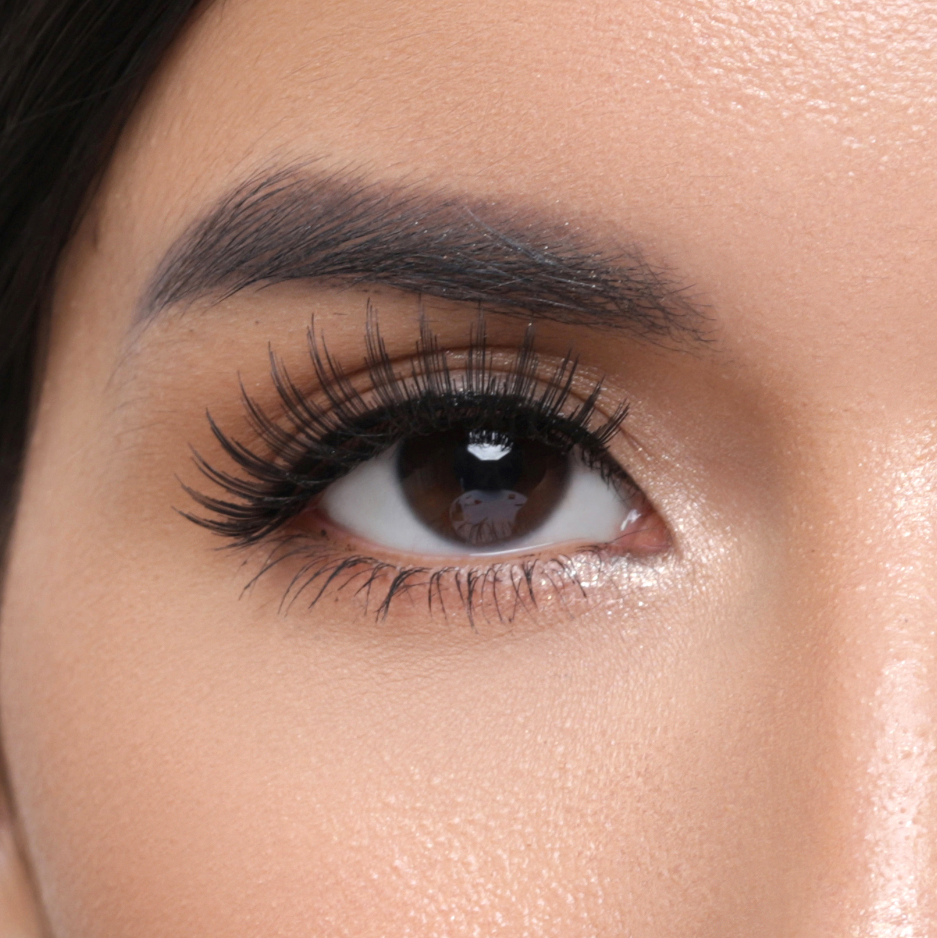 Elise Eyelashes Classic 8506