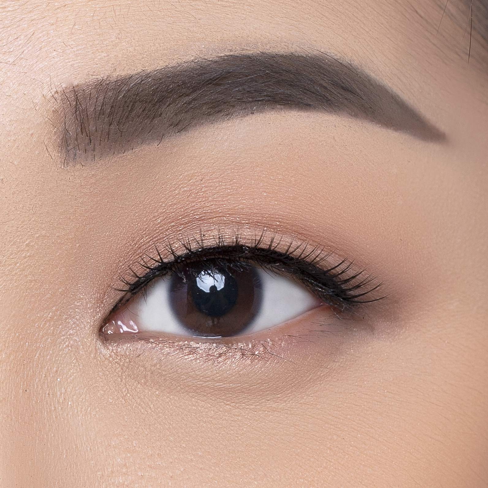 Elise Eyelashes Classic 820