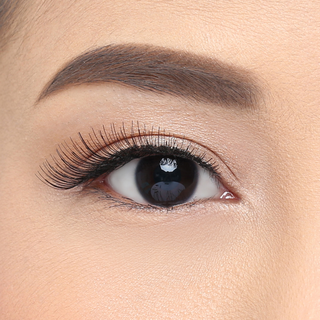 Elise Eyelashes Glamour 101