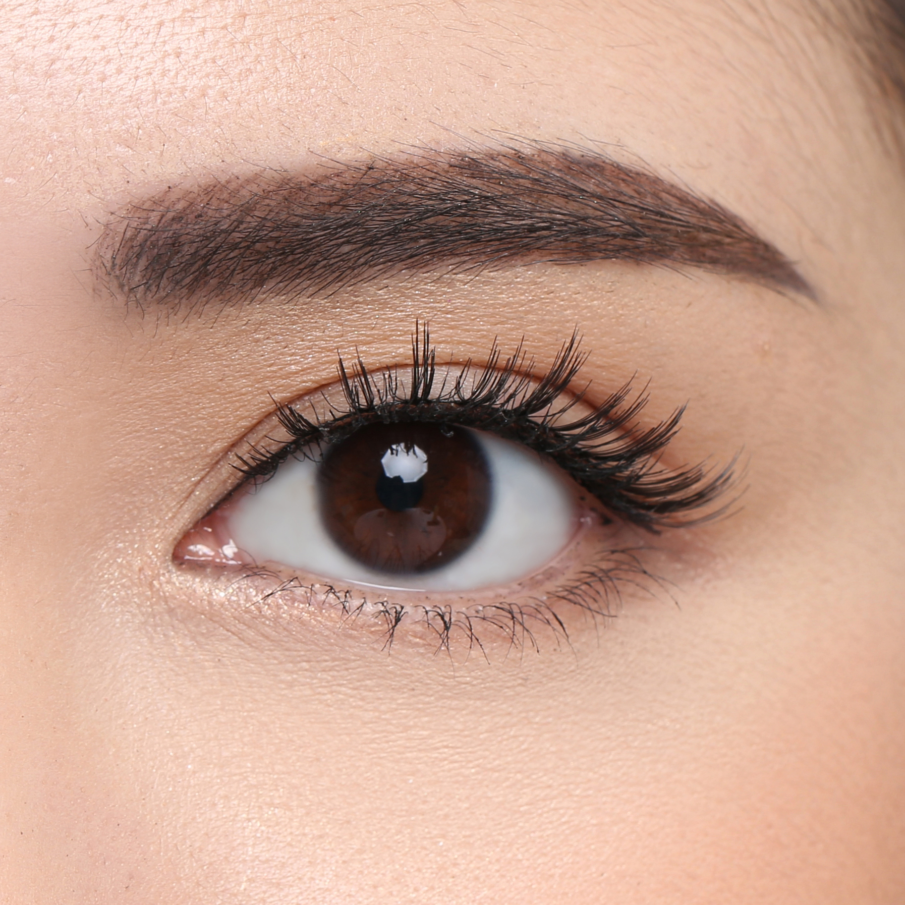 Elise Eyelashes Tokyo 68