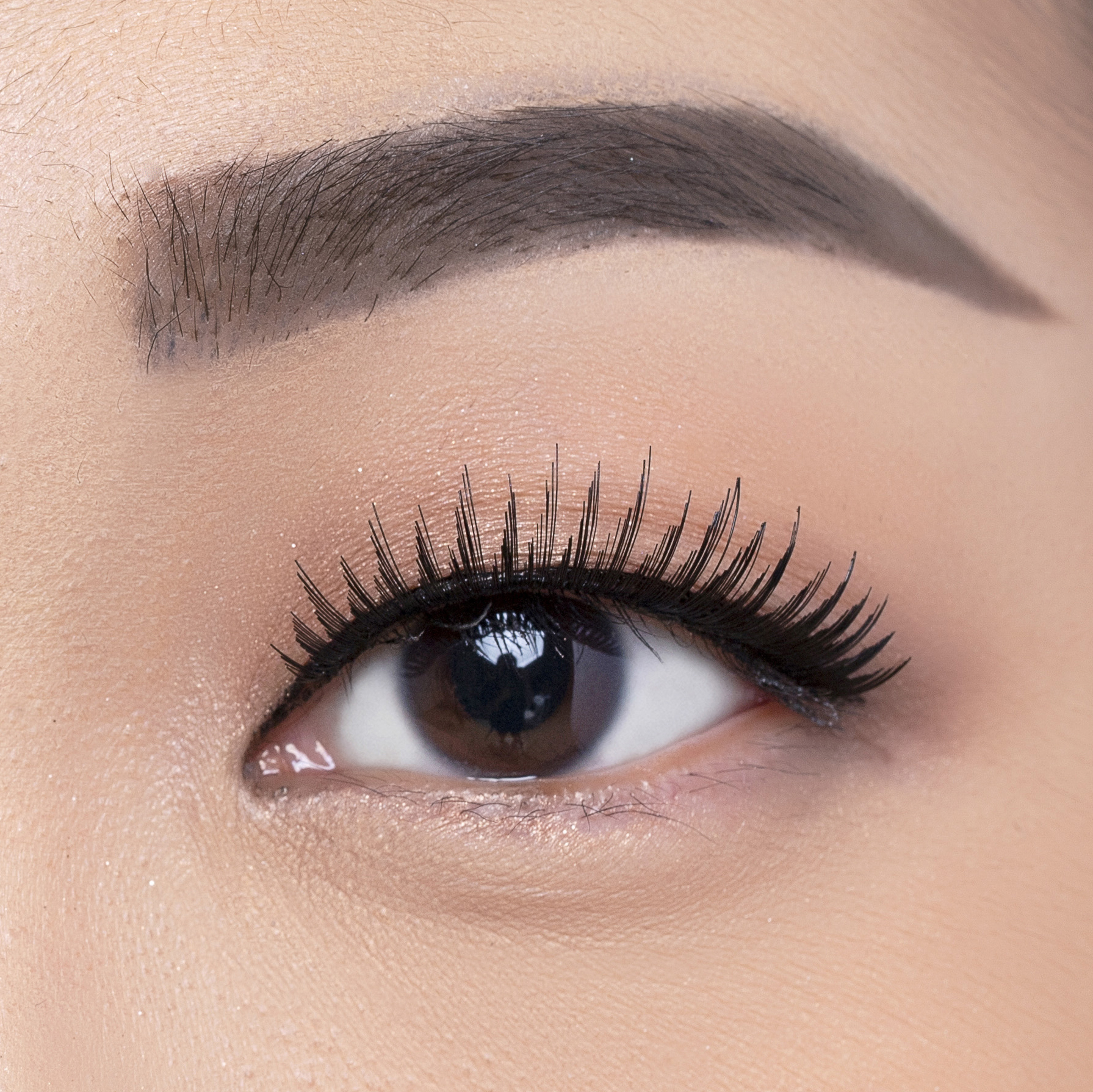 Elise Eyelashes Monolid 17