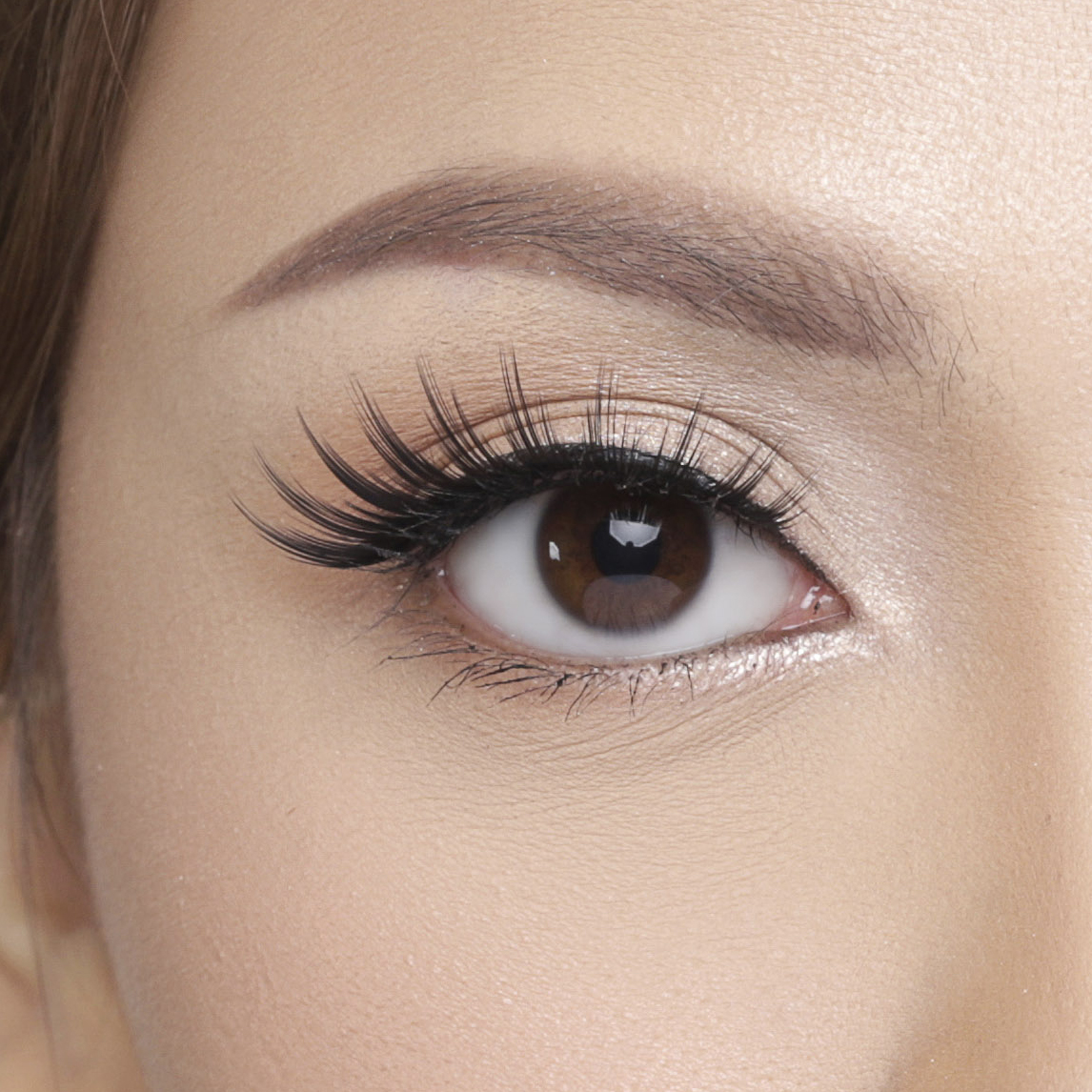 Elise Eyelashes Glamour  813