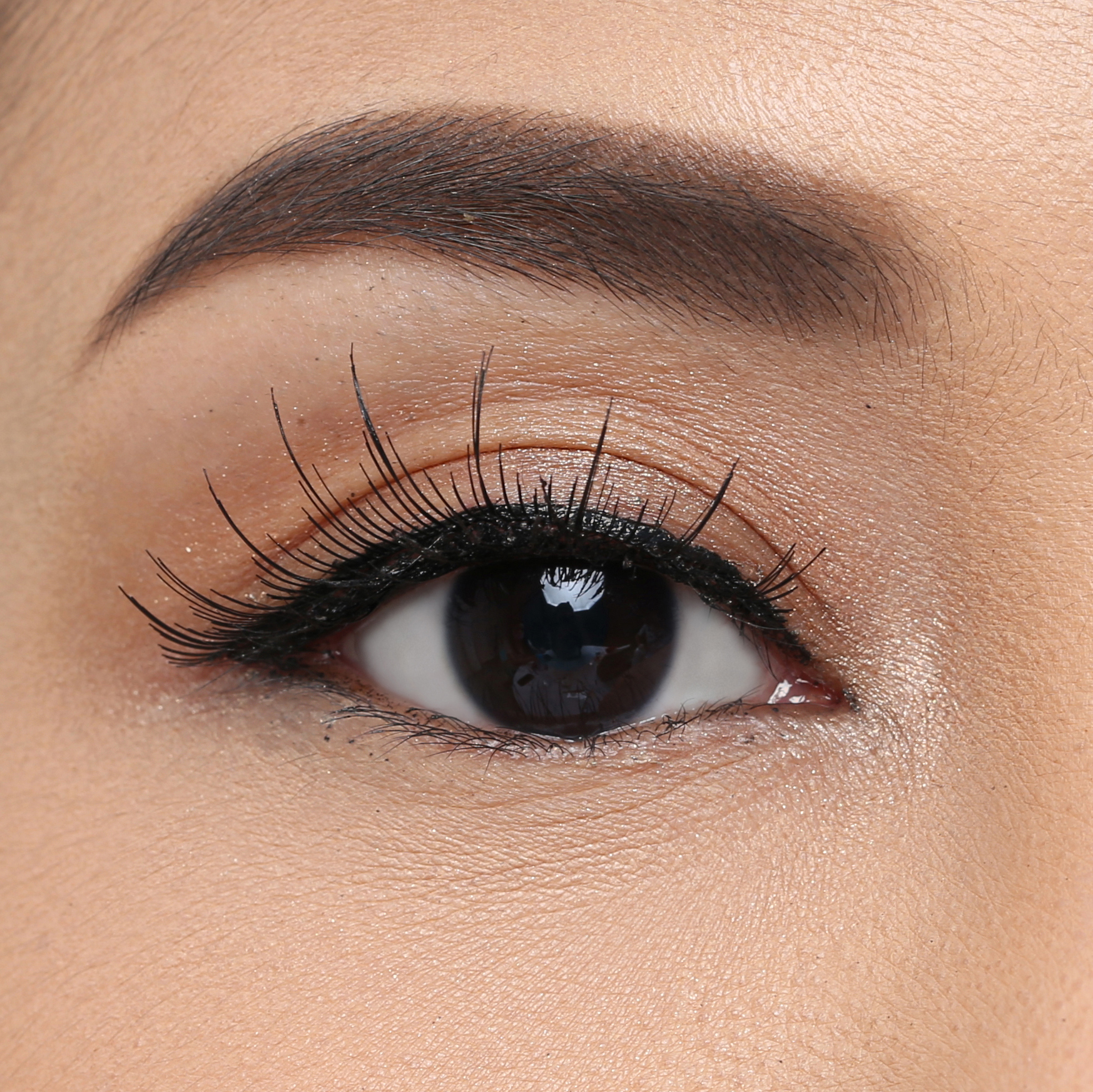 Elise Eyelashes Classic 5229