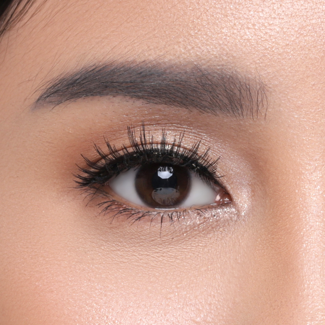 Elise Eyelashes Glamour 114
