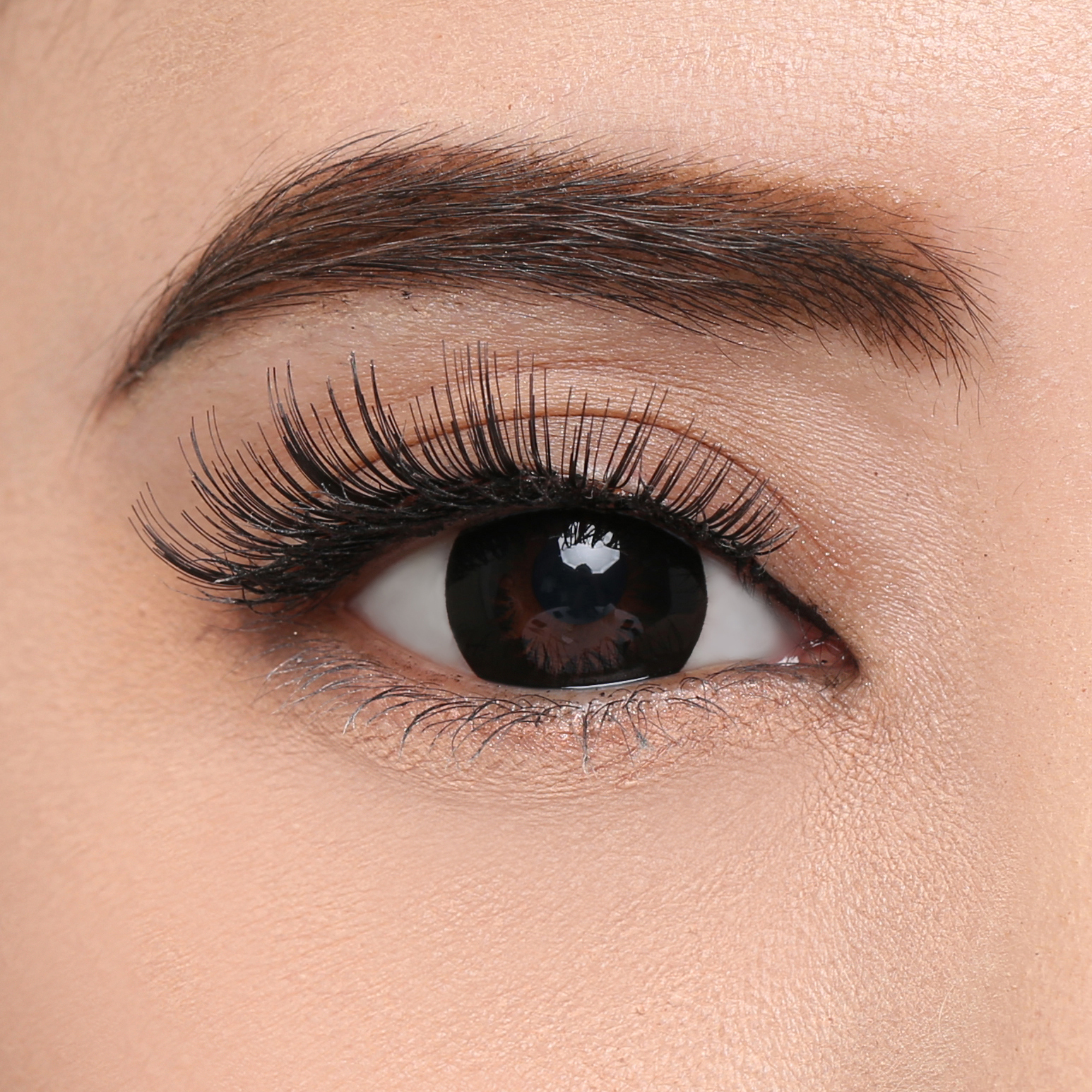 Elise Eyelashes Classic 824