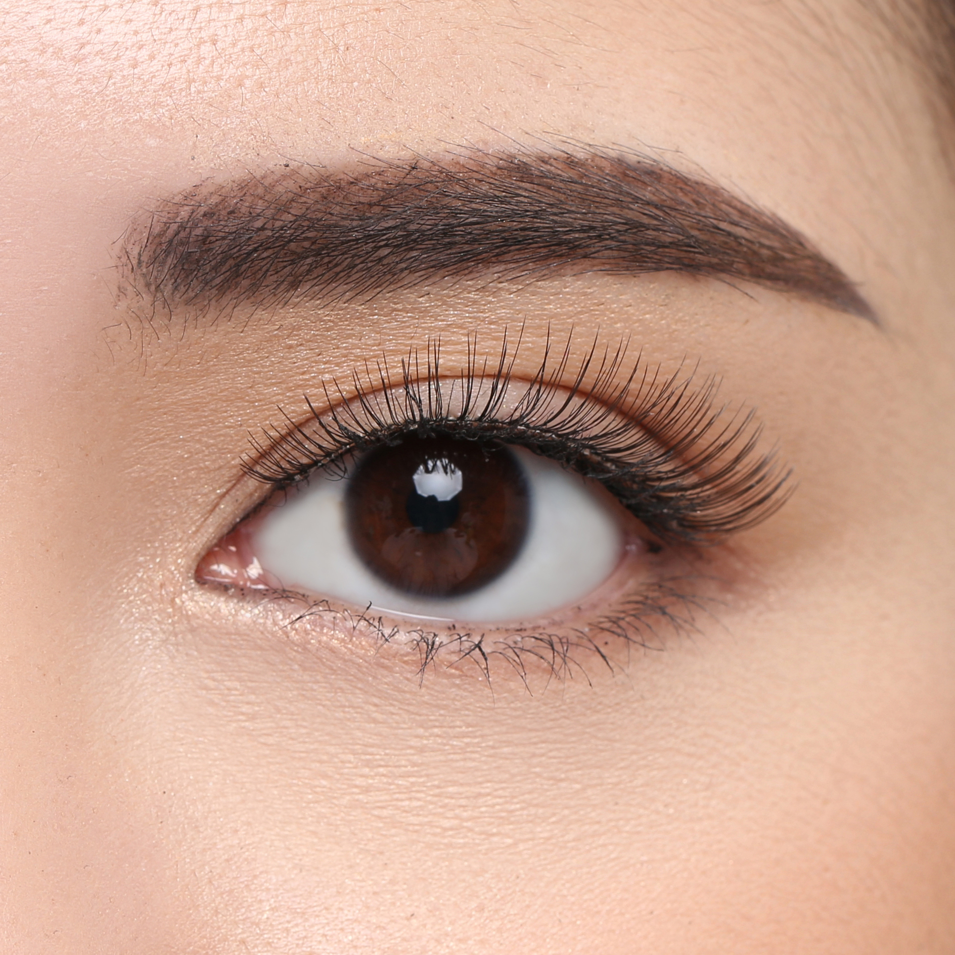 Elise Eyelashes Tokyo 60