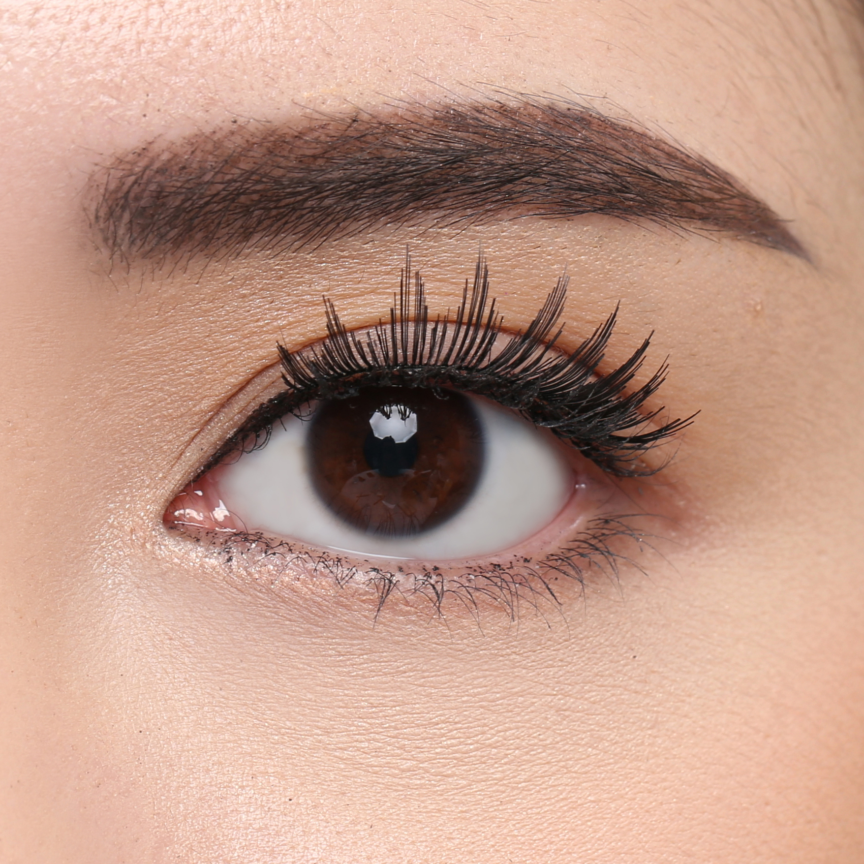 Elise Eyelashes Monolid 19