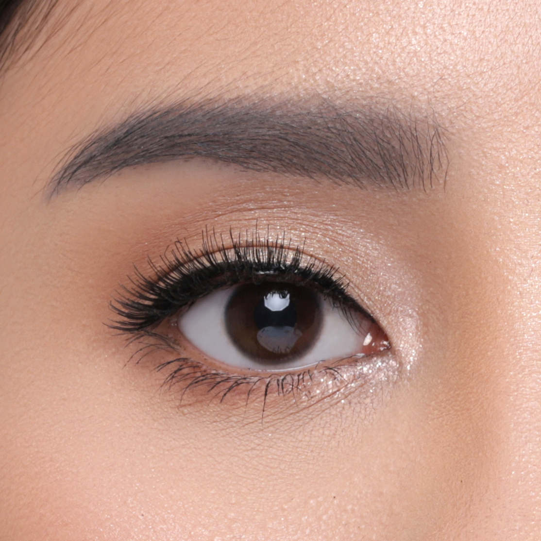 Elise Eyelashes Monolid 5121