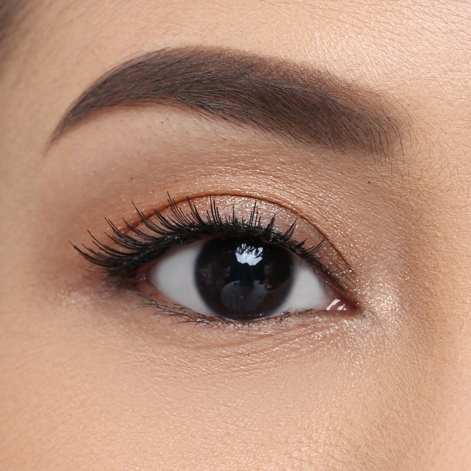 Elise Eyelashes Classic 12