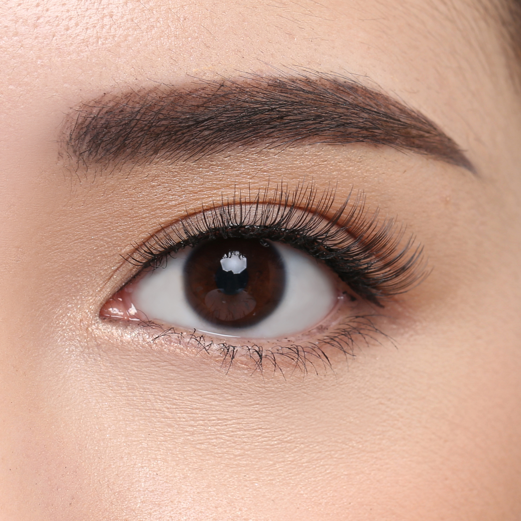 Elise Eyelashes Tokyo 66