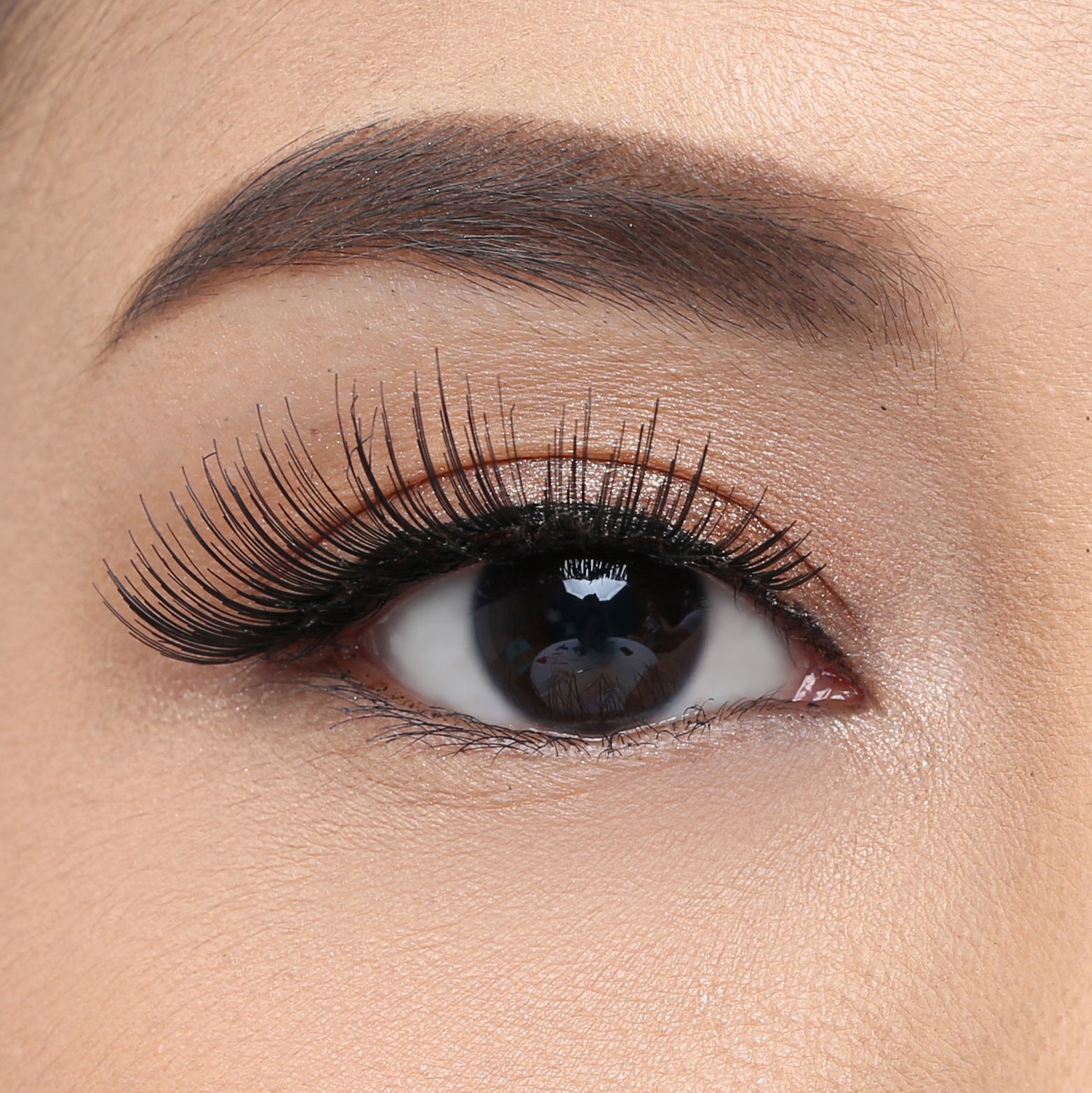 Elise Eyelashes Classic 5456