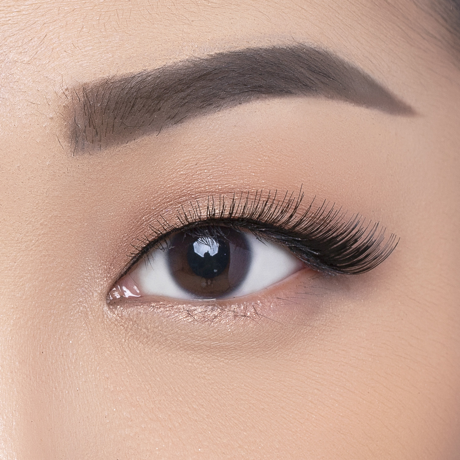 Elise Eyelashes Classic 7152 Preglued