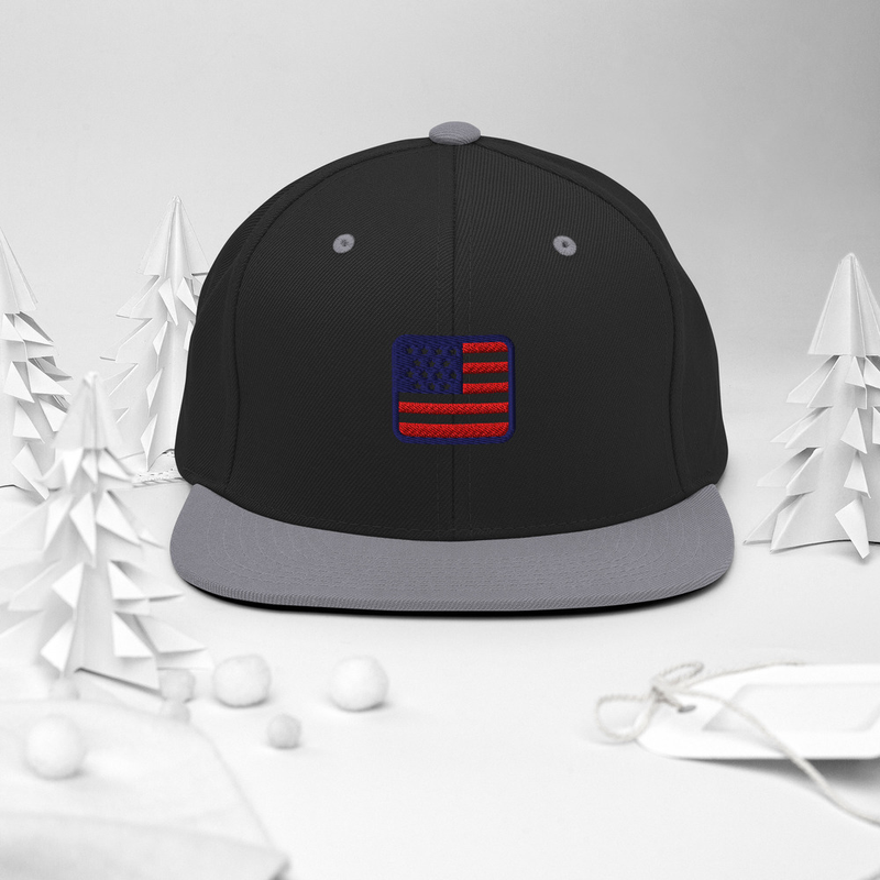 USA Snapback Hat