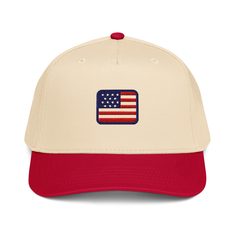 USA 5 panel cap