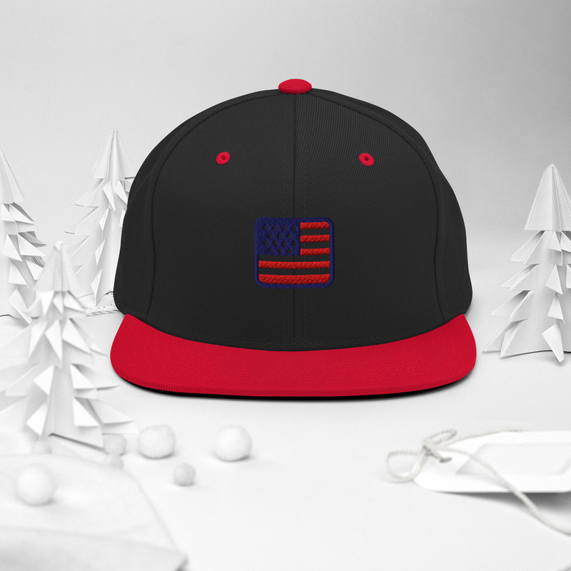 USA Snapback Hat