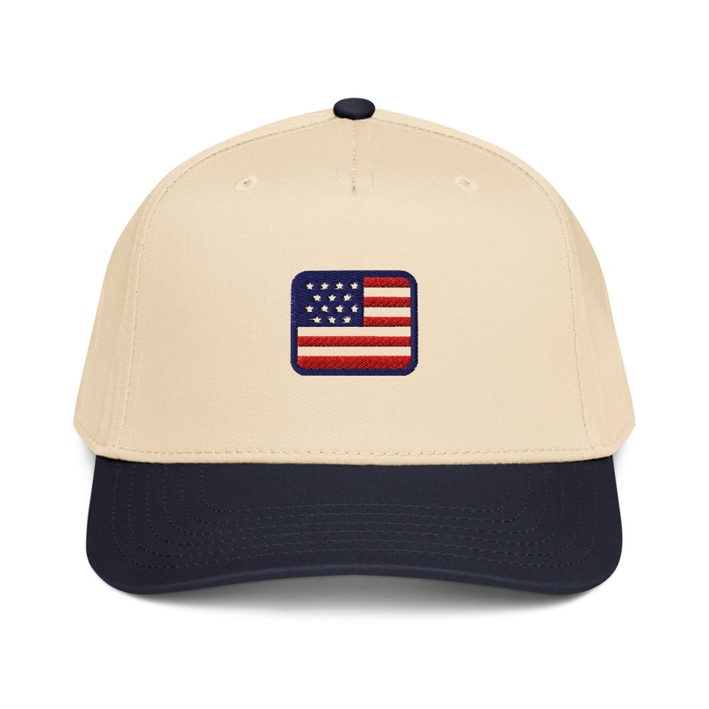 USA 5 panel cap