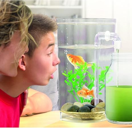 Mini Fish Aquarium