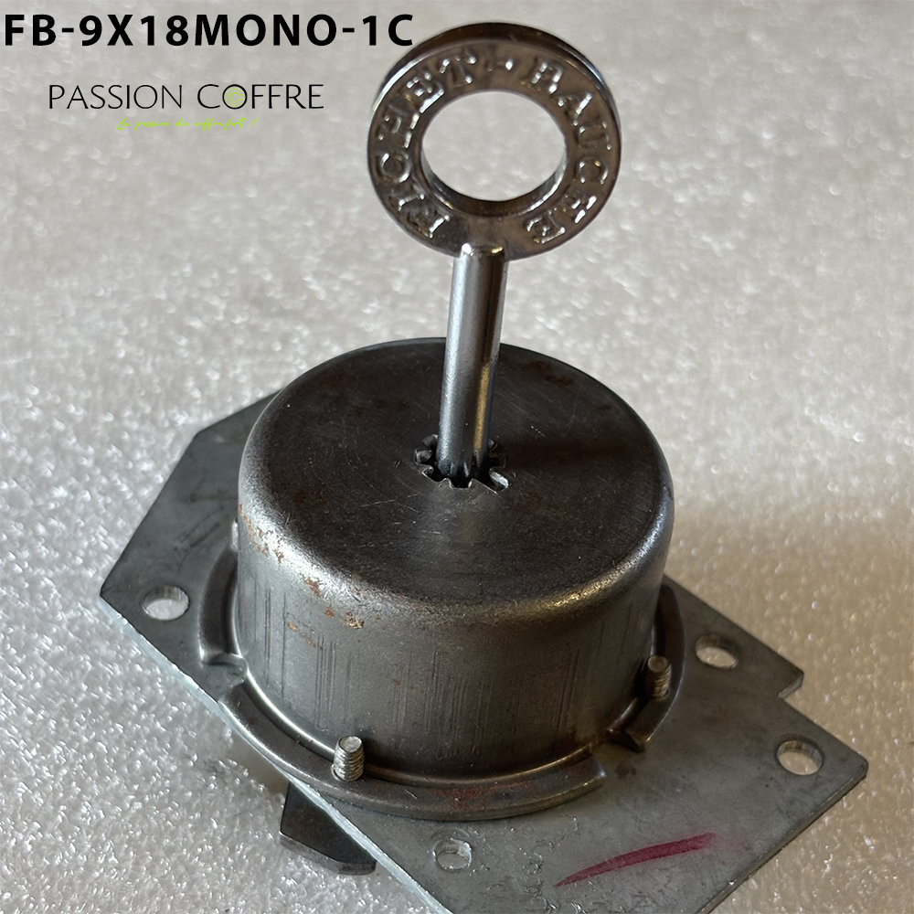 Serrure à Pompe Monopole 8 Reconditionnée