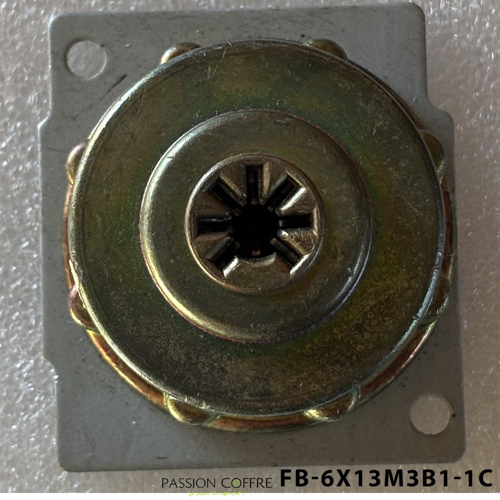 Serrure à Pompe  M3B 1 Reconditionnée