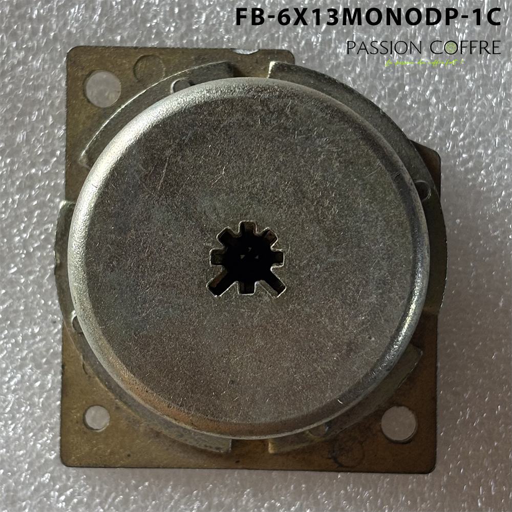 Serrure à Pompe  Monopole a panetons déportés Reconditionnée