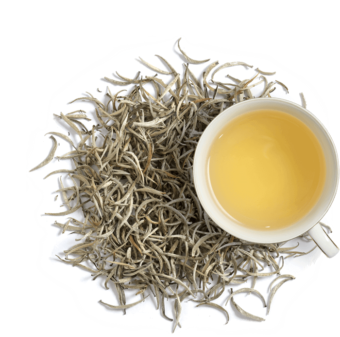 Silver Needle White Tea