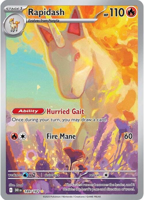 Rapidash DRI189