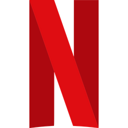 Netflix Subscription