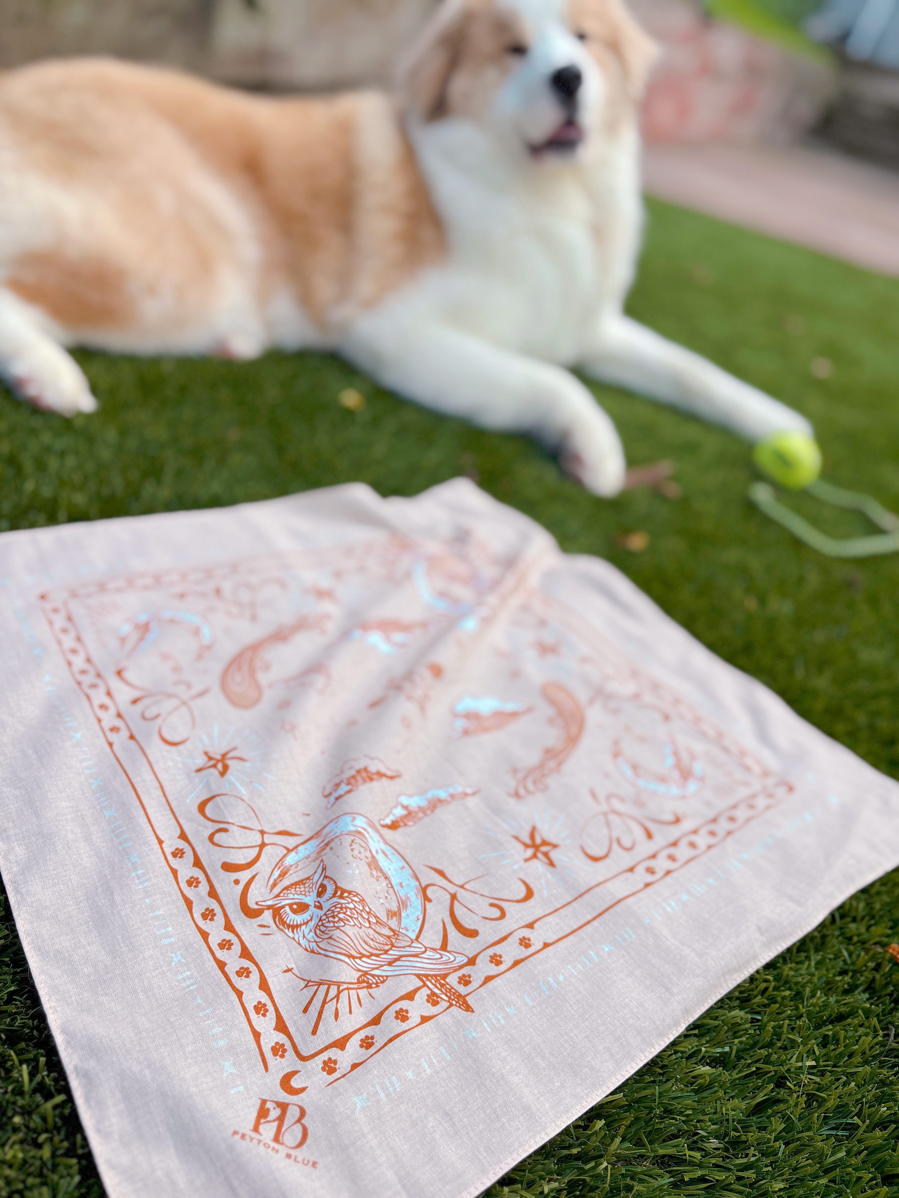 Moonlit Reverie Bandana