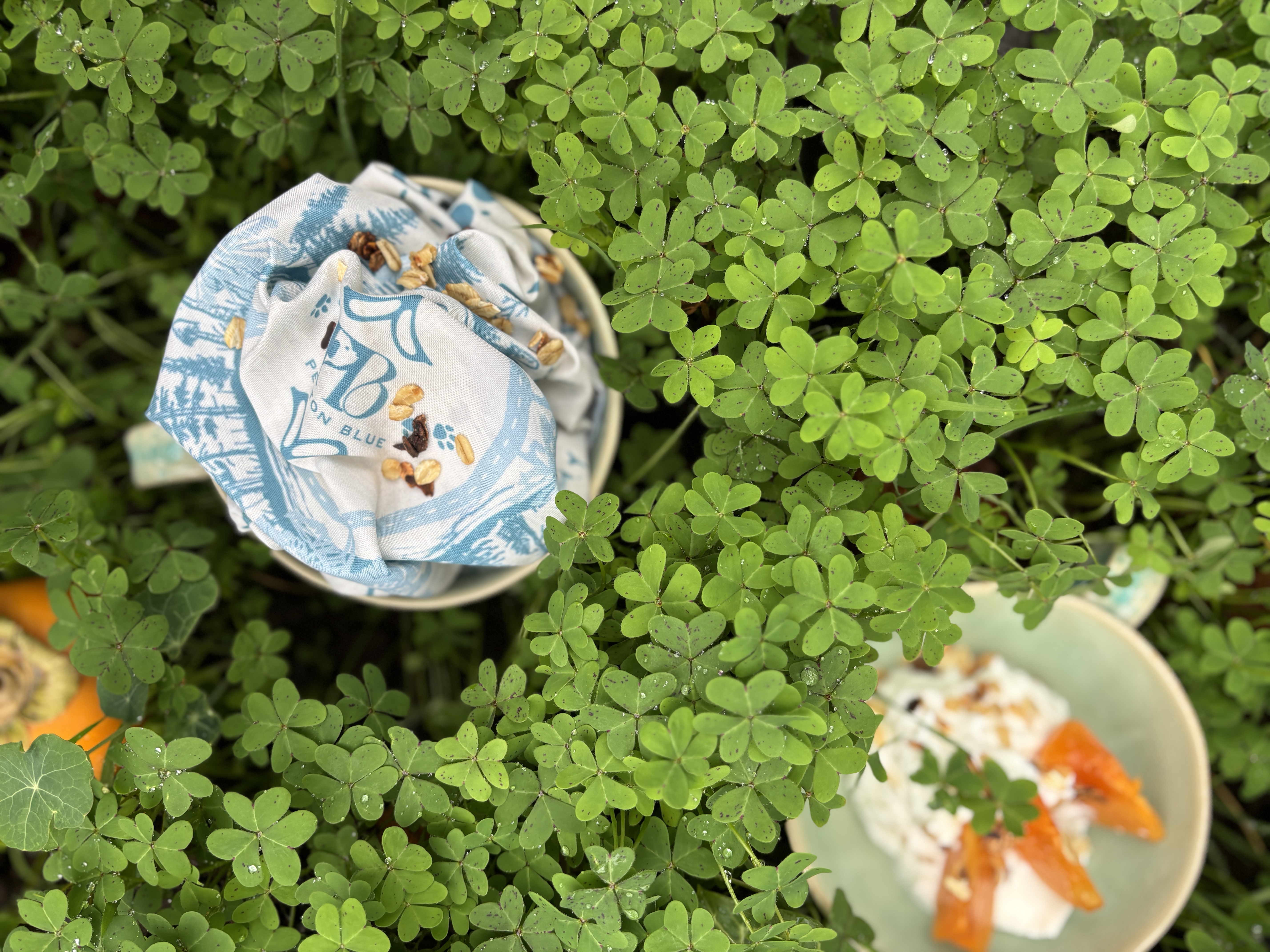 Whispered Tracks Daybreak Bandana