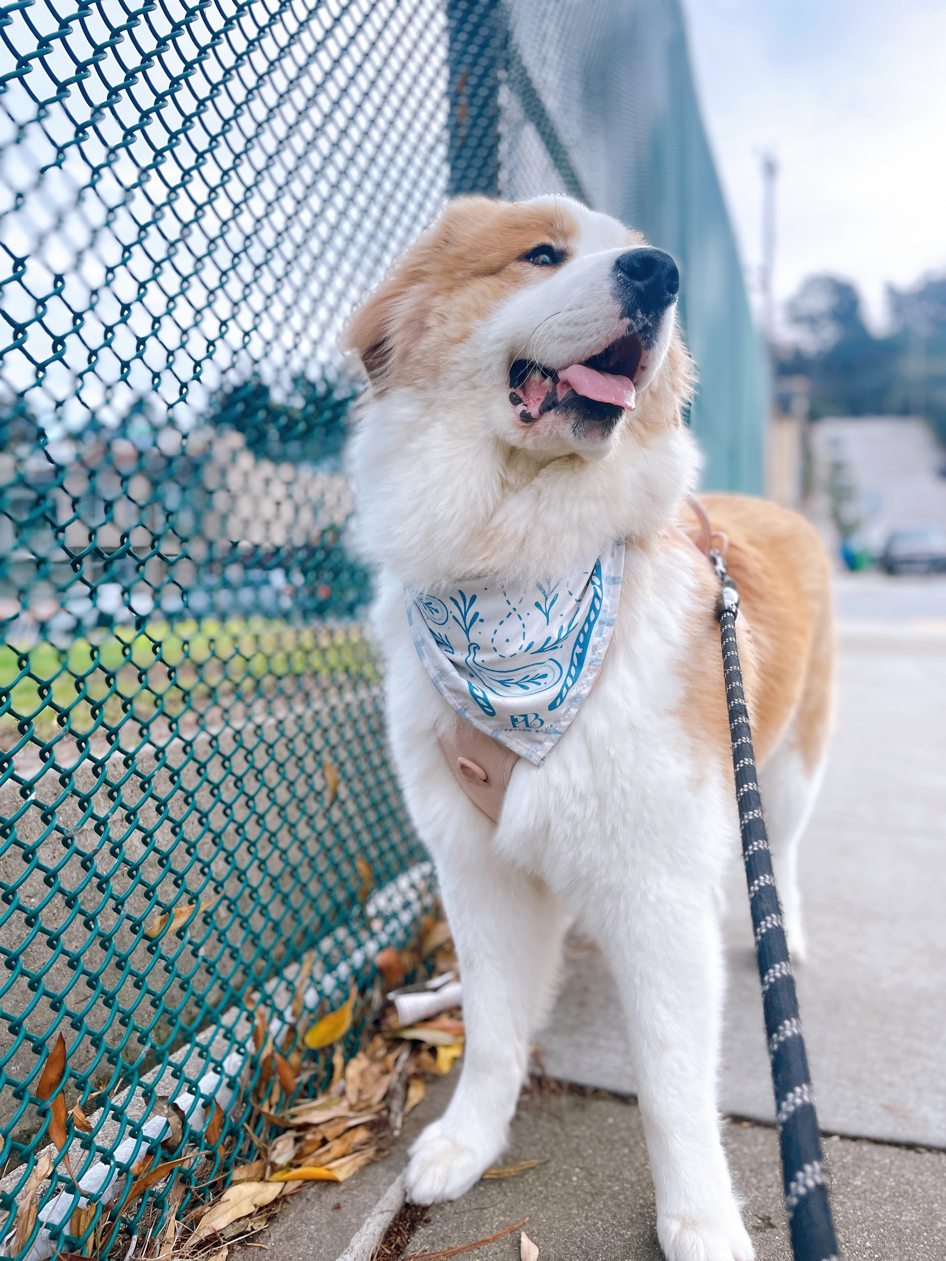 Whispered Tracks Daybreak Bandana