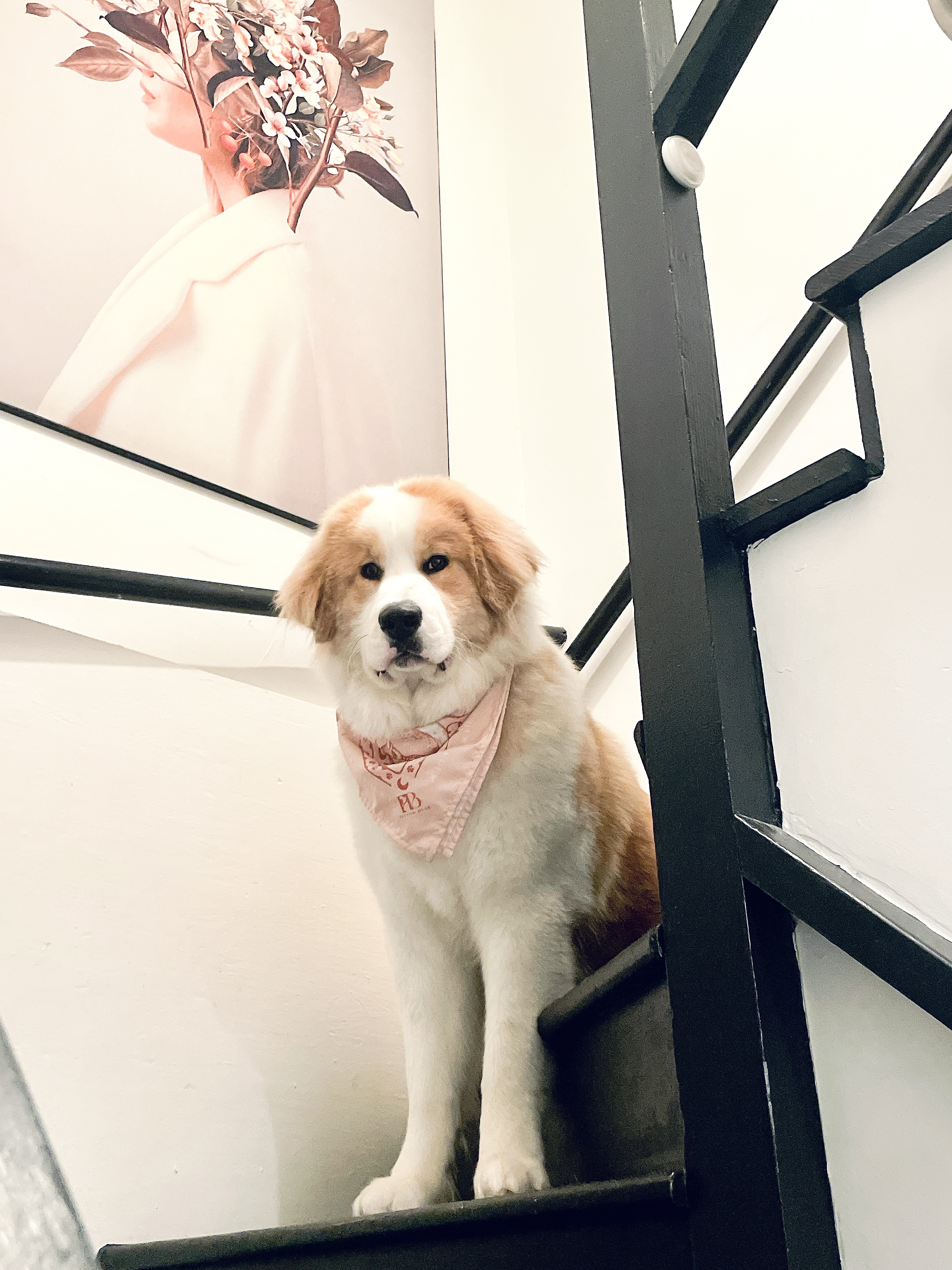 Moonlit Reverie Bandana