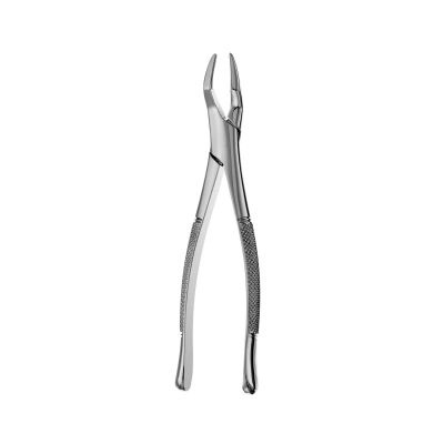 Dental Extraction Forceps