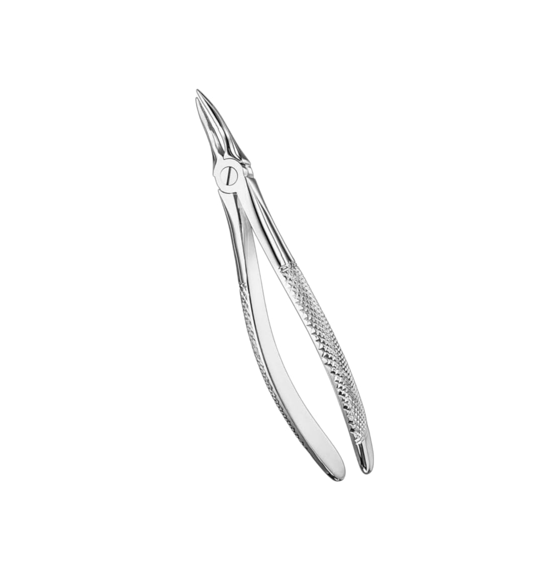 Dental extraction forceps